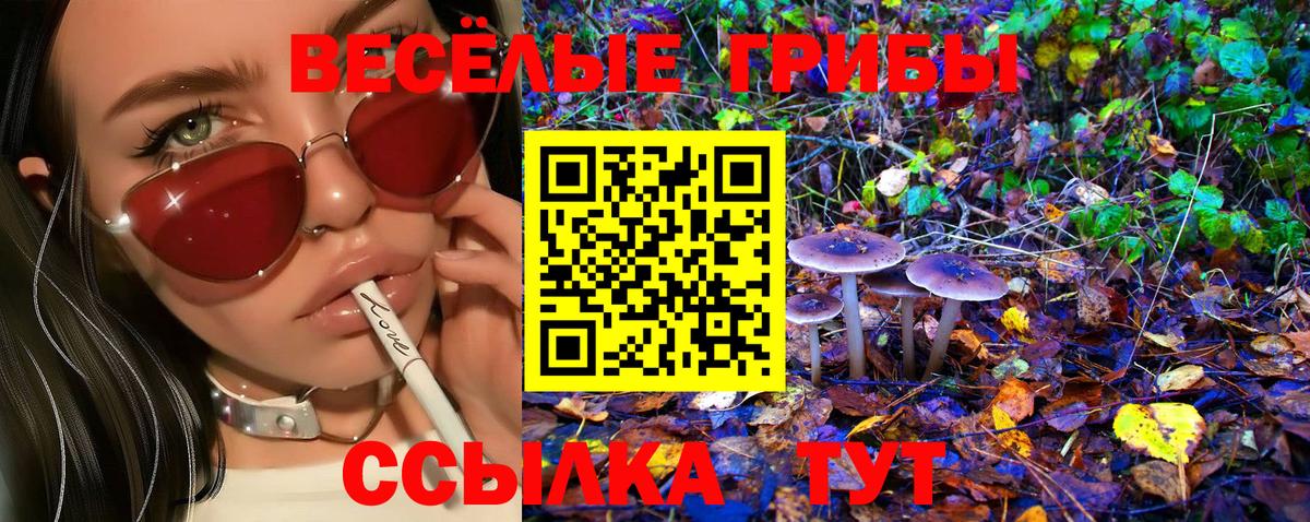 Губкинский  Псилоцибиновые грибы GOLDEN TEACHER  Вход с VPN  Псилоцибиновые грибы мухоморы 