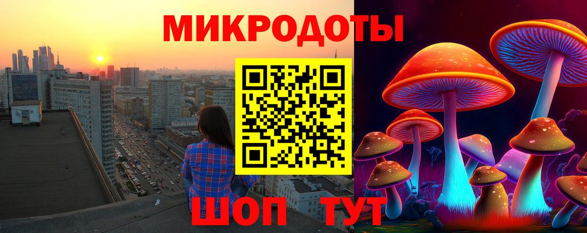 Псилоцибиновые грибы Psilocybine cubensis Губкинский