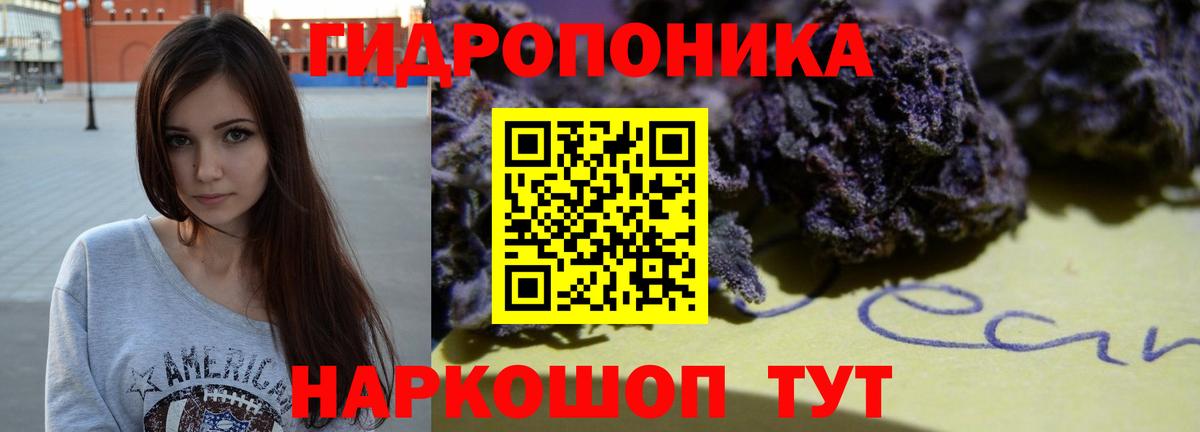 Бошки Шишки конопля Губкинский